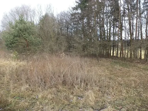 Dražba louky, Novosedly nad Nežárkou, 15643 m2