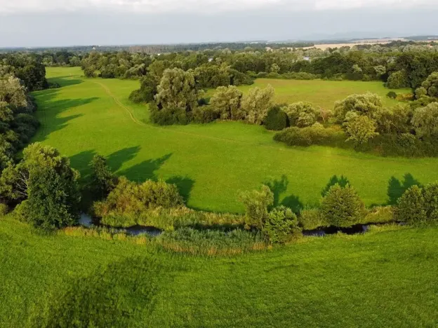 Dražba louky, Pustějov, 9886 m2