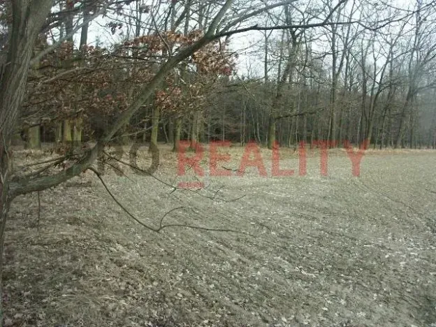 Prodej lesa, Tísek, 4998 m2