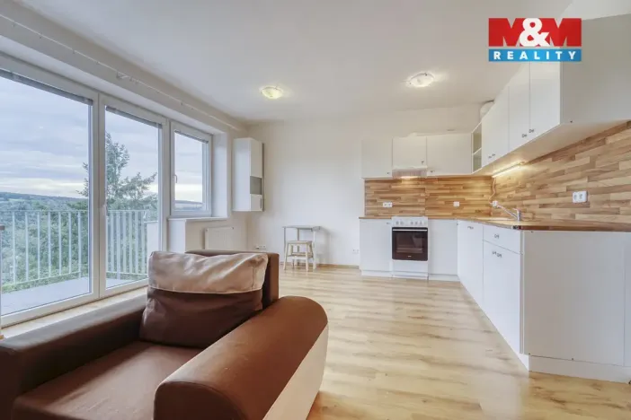 Pronájem bytu 1+kk, Plasy, U Václava, 42 m2