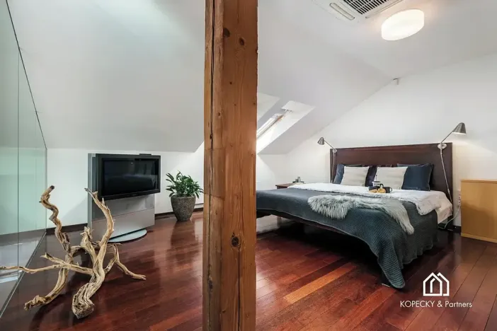 Prodej bytu 4+kk, Praha - Josefov, Široká, 212 m2