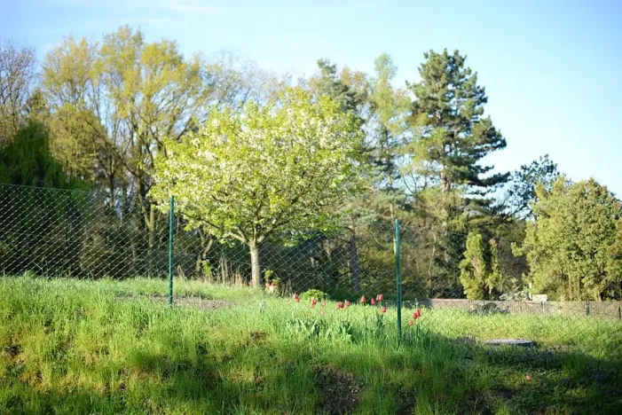 Prodej pozemku pro bydlení, Větrušice, Úzká, 810 m2