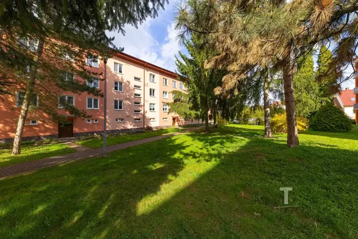 Prodej bytu 2+1, Blansko, Družstevní, 59 m2