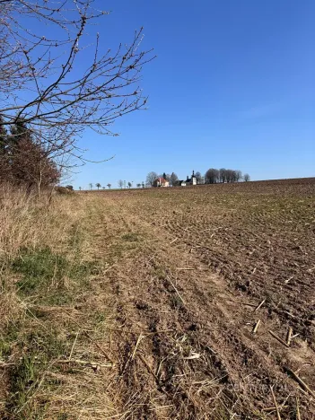 Prodej pozemku pro bydlení, Velká Bukovina, 2530 m2