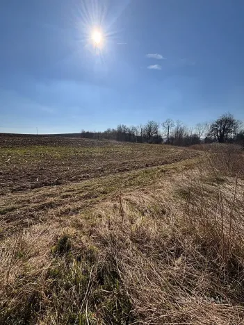 Prodej pozemku pro bydlení, Velká Bukovina, 2530 m2