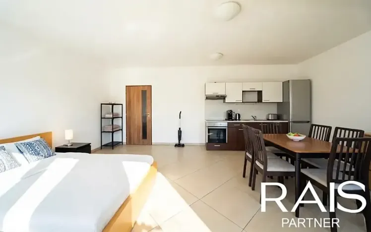 Prodej bytu 1+kk, Brno, Svitavská, 55 m2