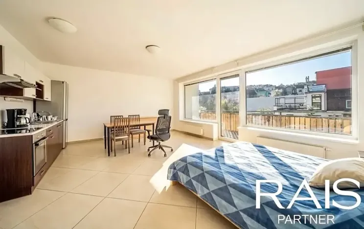 Prodej bytu 1+kk, Brno, Svitavská, 55 m2