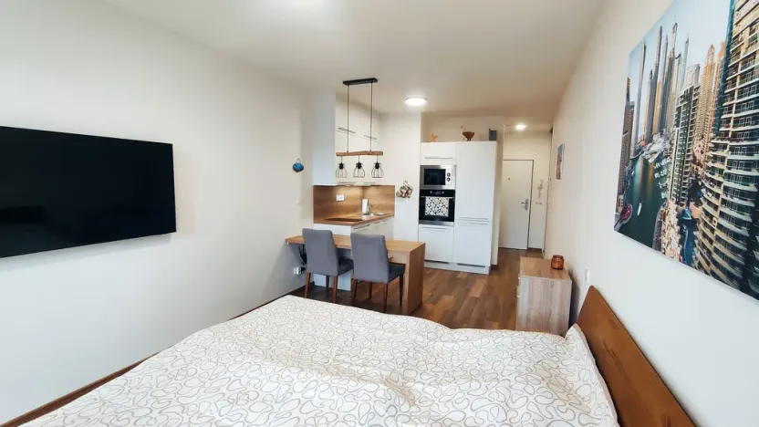 Pronájem bytu 1+kk, Olomouc, Šantova, 28 m2