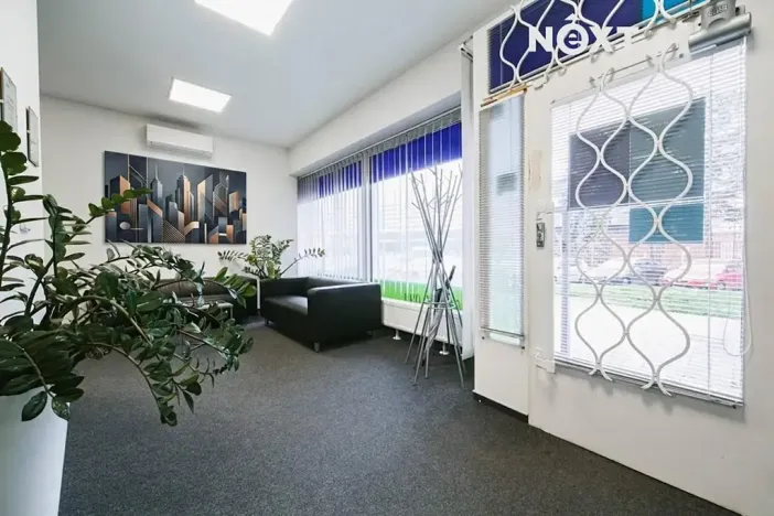 Pronájem kanceláře, Brno, Křídlovická, 115 m2