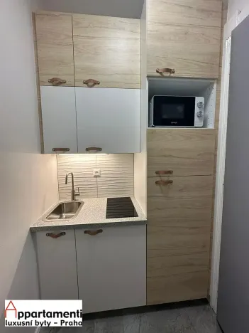Pronájem bytu 1+kk, Praha - Holešovice, Heřmanova, 26 m2