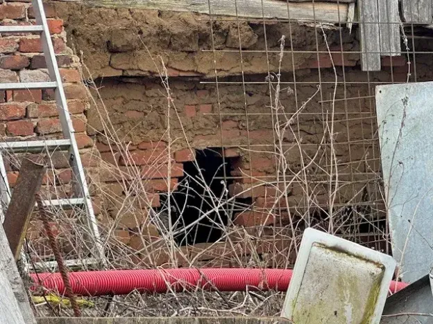 Dražba - jiné, Kostelec, 662 m2