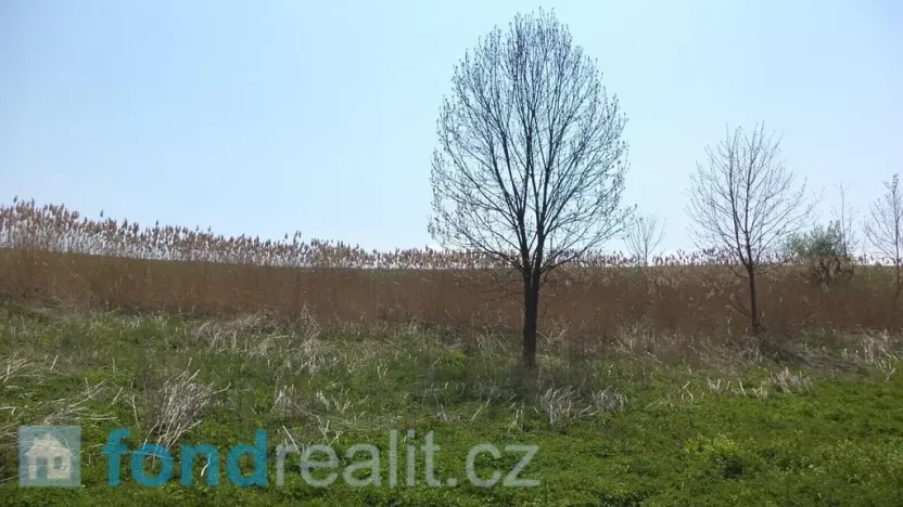 Prodej pole, Chotěbuz, 8787 m2