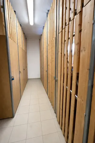 Prodej bytu 3+kk, České Budějovice, Skuherského, 53 m2