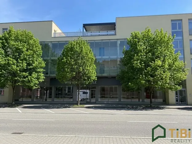 Prodej bytu 2+1, Brno, Masná, 48 m2