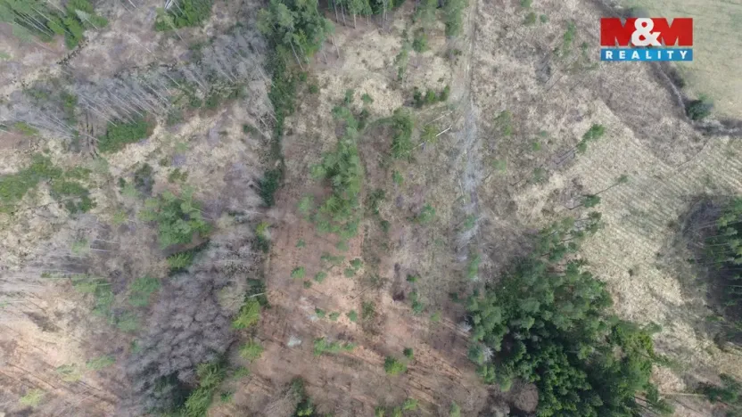 Prodej lesa, Mrákotín, 7873 m2