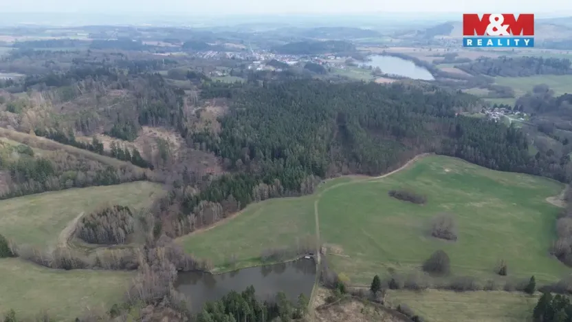 Prodej lesa, Mrákotín, 7873 m2