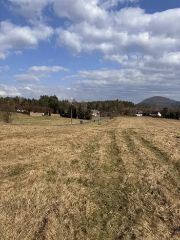 Prodej louky, Cvikov, 35271 m2