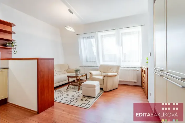 Pronájem bytu 2+kk, Olomouc, Profesora Fuky, 44 m2