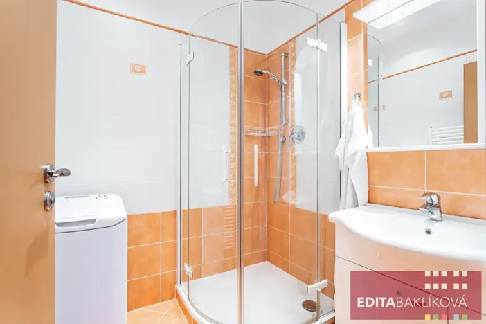 Pronájem bytu 2+kk, Olomouc, Profesora Fuky, 44 m2