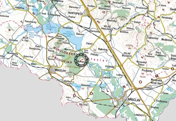 Prodej sadu/vinice, Bulhary, 30390 m2