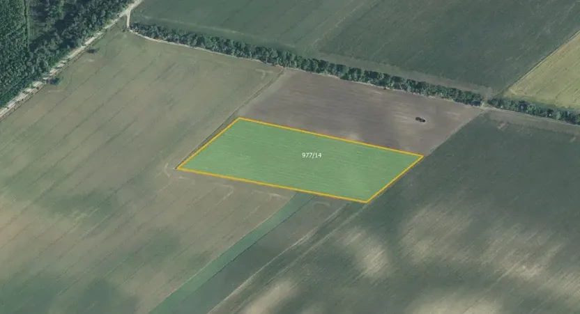 Prodej sadu/vinice, Bulhary, 93618 m2