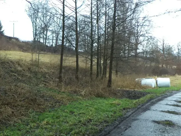 Dražba louky, Mladá Vožice, 26557 m2