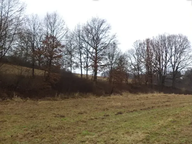 Dražba louky, Mladá Vožice, 26557 m2