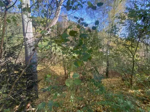 Dražba pozemku, Lučany nad Nisou, 449 m2