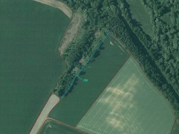 Dražba louky, Peč, 7060 m2