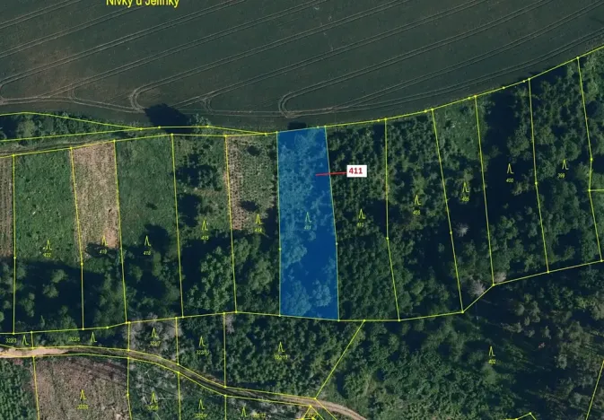 Dražba lesa, Chotěbudice, 1979 m2