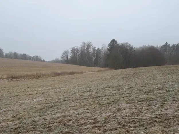 Dražba rodinného domu, Teplýšovice, 563 m2