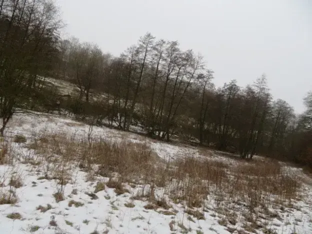 Dražba rodinného domu, Teplýšovice, 563 m2