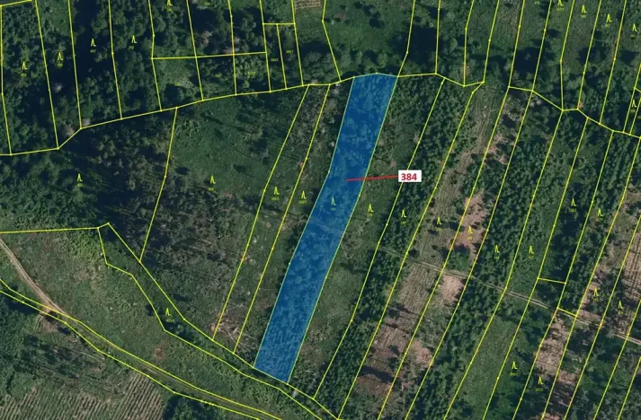 Dražba lesa, Chotěbudice, 4302 m2