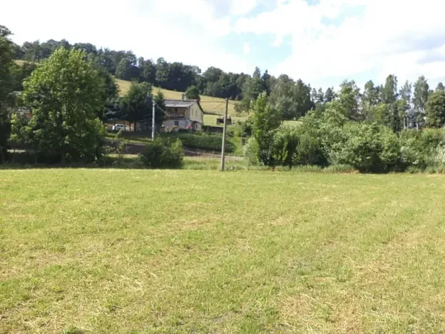 Dražba louky, Teplice nad Metují, 1315 m2