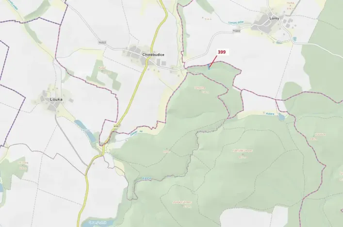 Dražba lesa, Chotěbudice, 2054 m2