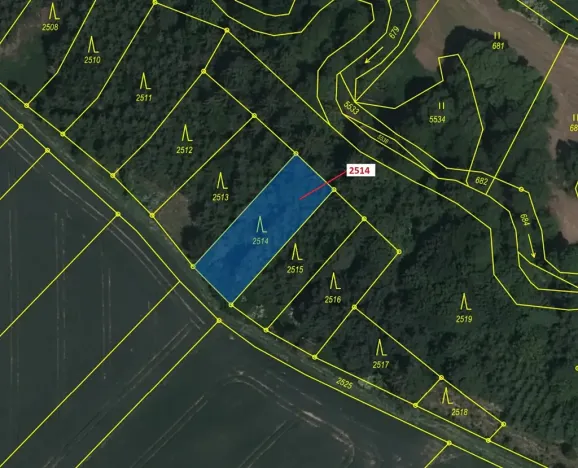 Dražba lesa, Chotěbudice, 532 m2