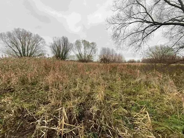 Dražba louky, Křenovice, 4103 m2