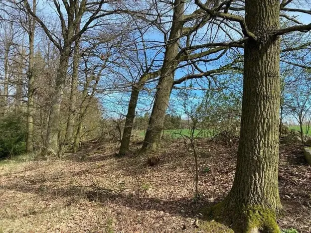 Prodej pole, Okrouhlá Radouň, 17482 m2