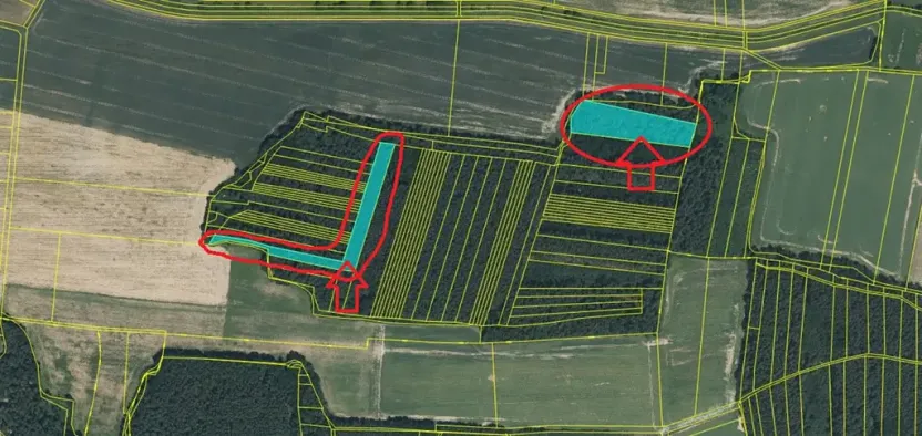 Prodej podílu lesa, Puclice, 12856 m2