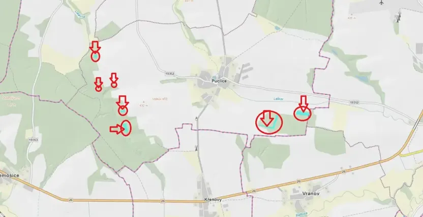Prodej podílu lesa, Puclice, 12856 m2