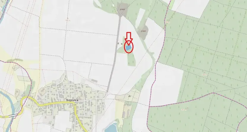 Prodej podílu lesa, Sojovice, 1204 m2
