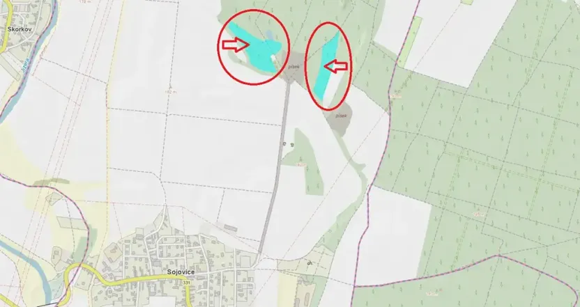 Prodej podílu lesa, Sojovice, 6719 m2