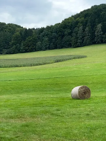 Prodej chalupy, Police nad Metují, 249 m2
