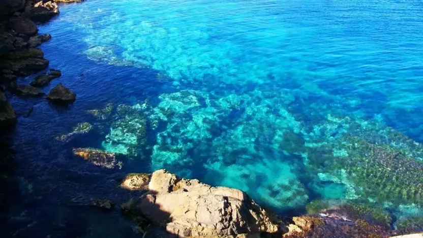 Prodej bytu 4+kk, Murcia City, Španělsko, 102 m2