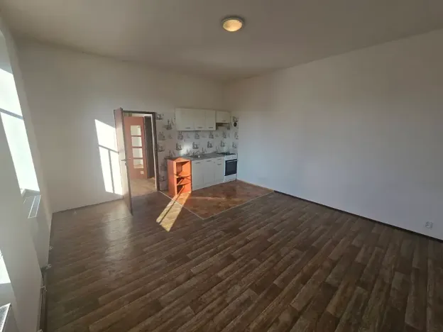 Pronájem bytu 1+kk, Brno, Plotní, 40 m2