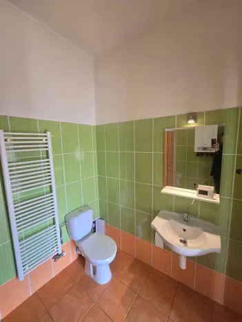 Pronájem bytu 1+kk, Brno, Plotní, 40 m2