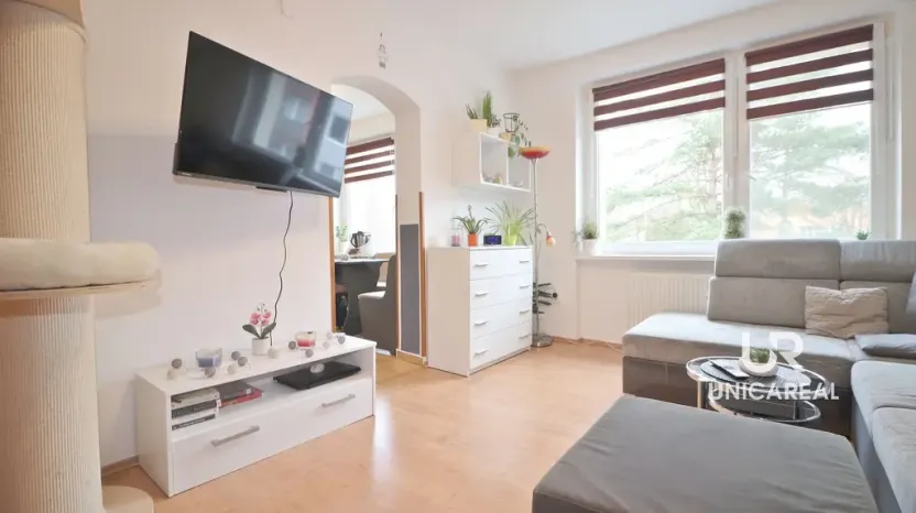 Prodej bytu 2+1, Boskovice, Bílkova, 58 m2