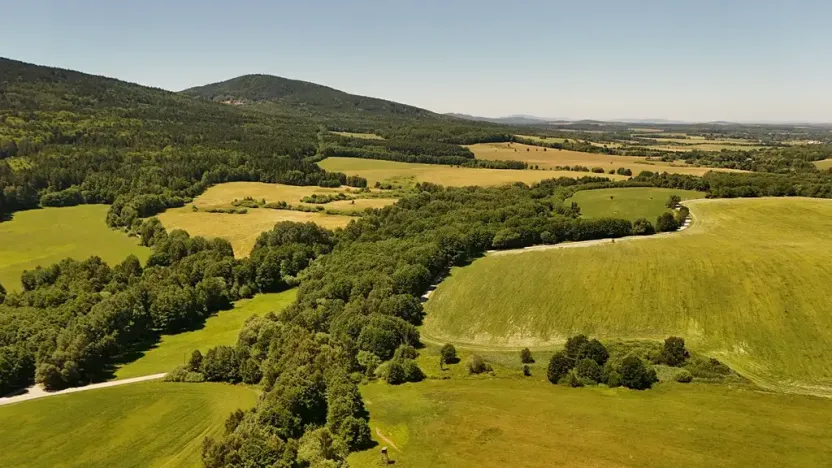 Prodej lesa, Horní Stropnice, 35281 m2