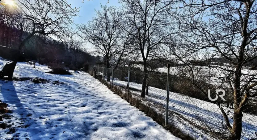 Prodej zahrady, Boskovice, Mánesova, 756 m2