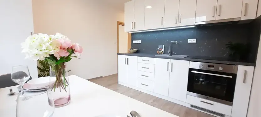 Pronájem bytu 1+1, Brno, Fričova, 46 m2